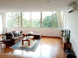 Nassim Regency (D10), Condominium #578764911